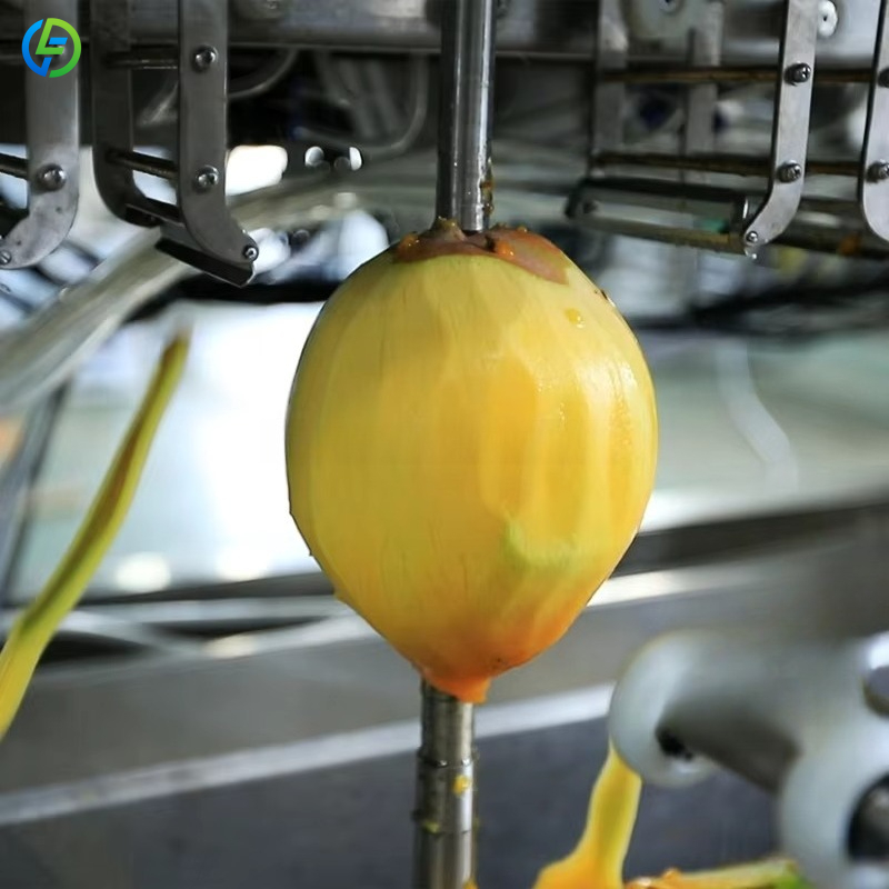 Customized Automatic 16 Heads  - Ice Cream Pasteurizer Machine 评论和价格